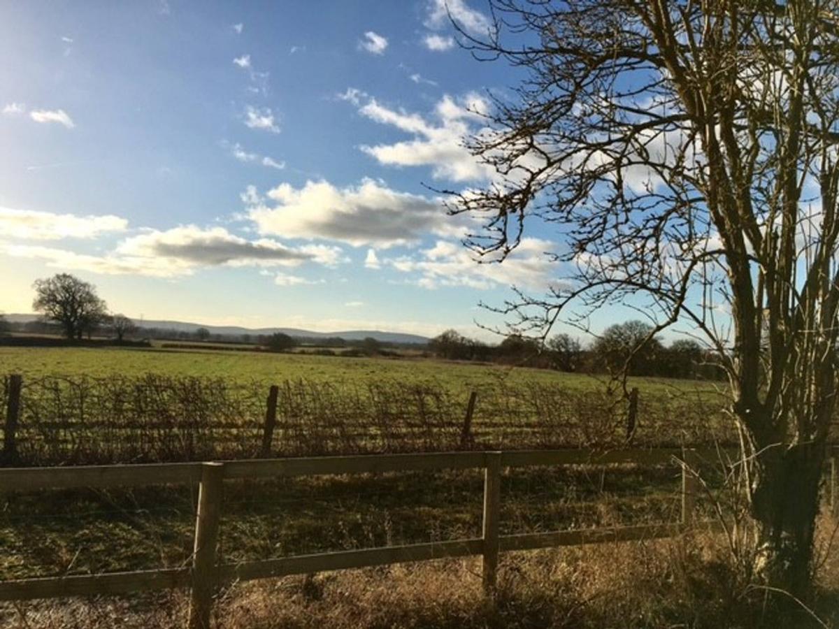 South Cottage - Rural Gem In The Heart Of The Sussex Countryside Twineham Ngoại thất bức ảnh