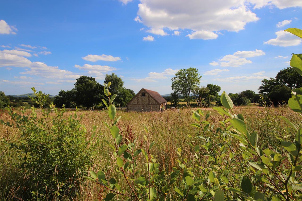 South Cottage - Rural Gem In The Heart Of The Sussex Countryside Twineham Ngoại thất bức ảnh
